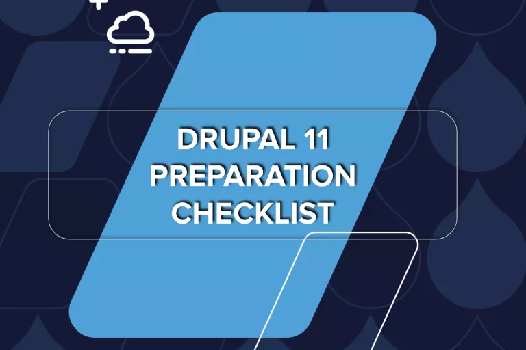 Drupal 11 Preparation