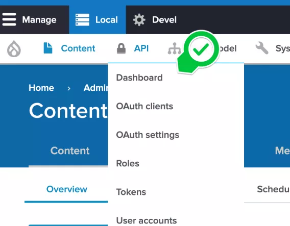 Dashboard from API menu
