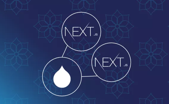 nextjs multisite header