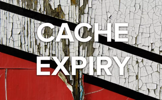 Cache Expiry