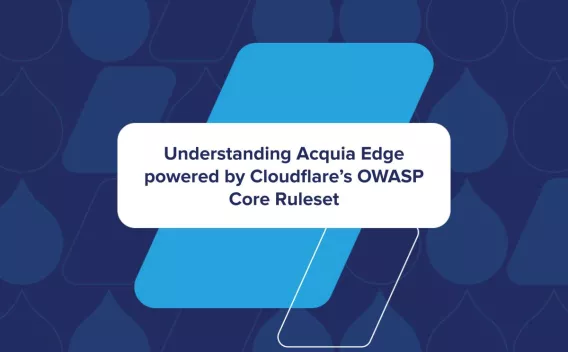 OWASP Thumbnail