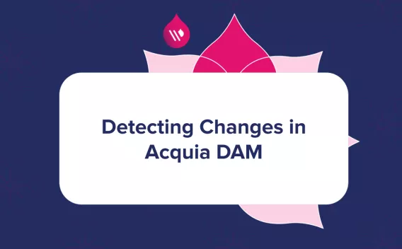 Simple pink and blue graphic with text "Detecting Changes in Acquia DAM"