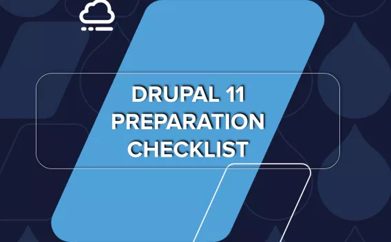 Drupal 11 Preparation