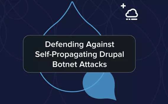 Defending against botnets thumbnail