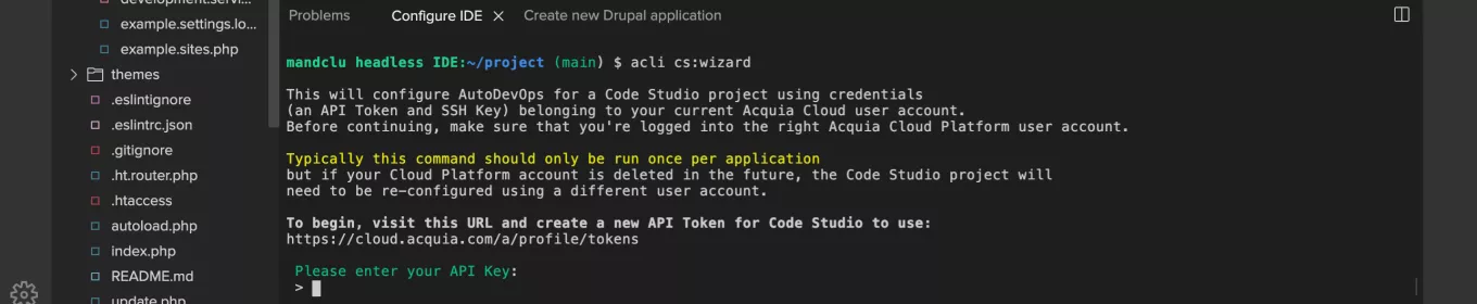 Running the ACLI command in the Cloud IDE