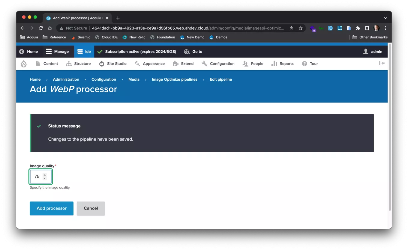 Adding the WebP processor to the pipeline