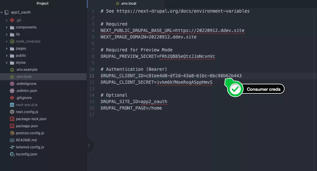 paste environment variables screenshot
